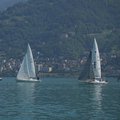 Solitaire du Haut Lac 2023
